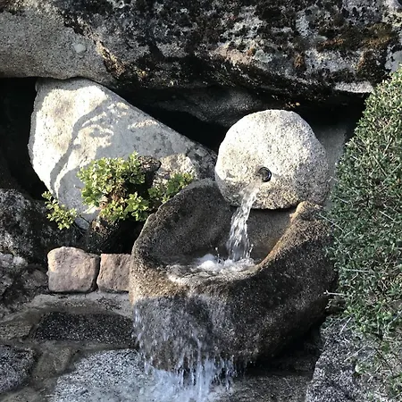 Domaine Pardini Σπίτι διακοπών