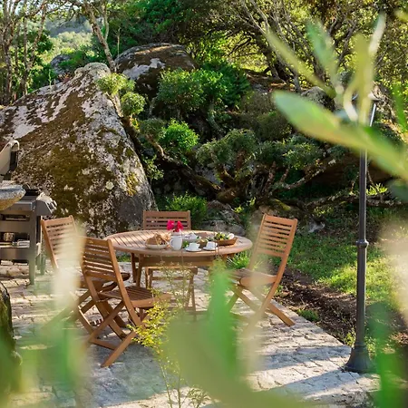Domaine Pardini Porto-Vecchio (Corsica)