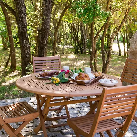 Domaine Pardini Porto-Vecchio (Corsica)