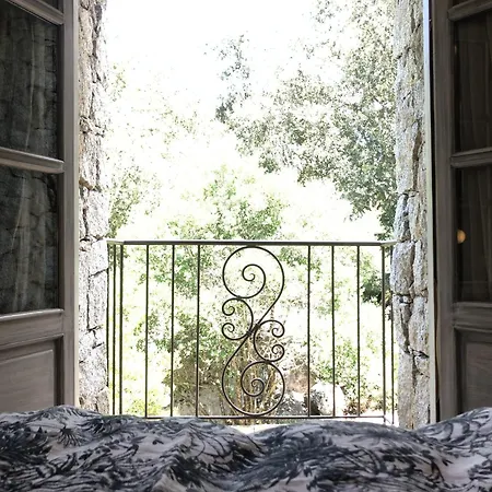 Domaine Pardini Feriehus *