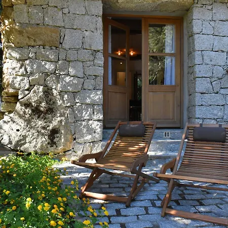 Domaine Pardini Porto-Vecchio (Corsica)