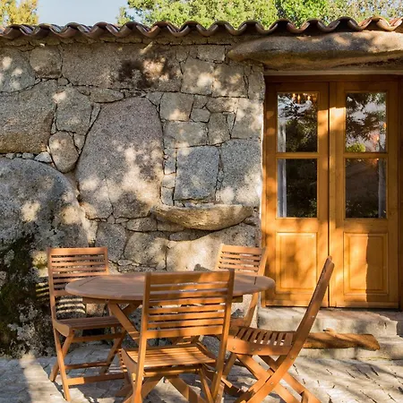 Domaine Pardini * Porto-Vecchio (Corsica)