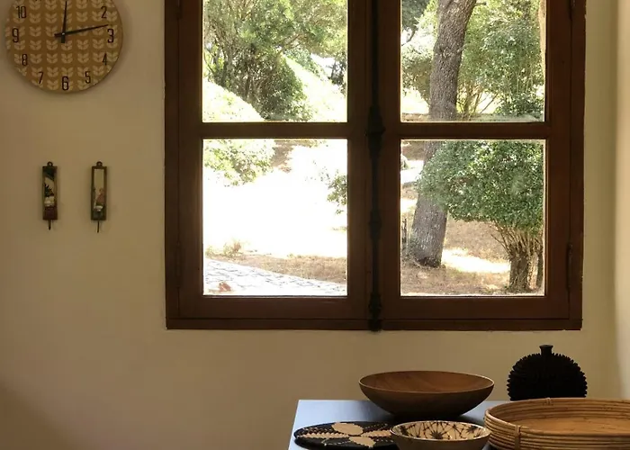 Domaine Pardini بيت للعطل *