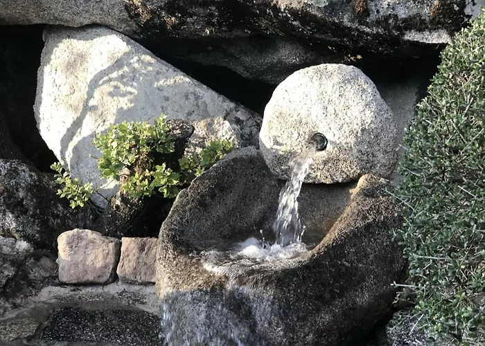 Domaine Pardini بيت للعطل