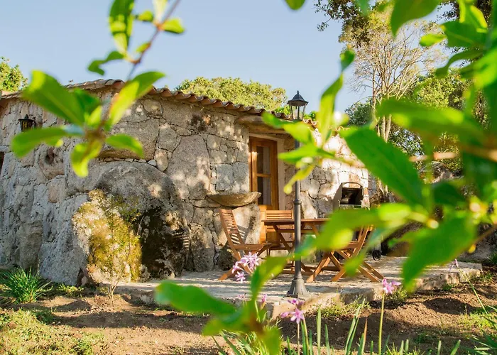 Domaine Pardini Дом отдыха *